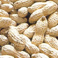 Peanut Inshell