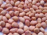 Peanut Seeds Kernel