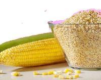 Maize Germ / Corn Germ
