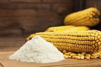 Maize Starch Powder / Corn Starch Powder