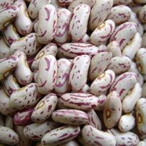 light speckled kidney beans