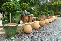 Garden Pots