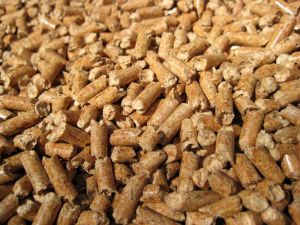Din Plus Wood Pellets