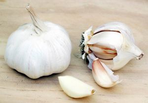 fresh garlic