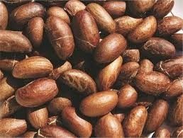 Garcinia Bitter Kola