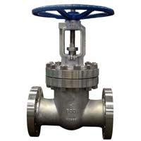 ANSI Pure Nickel Globe Valve