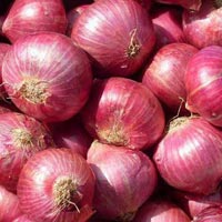 Onions