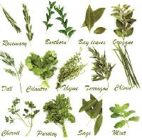 natural herbs