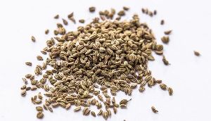 Carom Seed Powder (Trachyspermum Ammi)