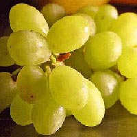 fresh grapes