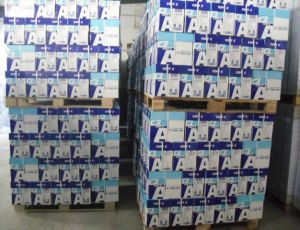 Paper & Paper Products