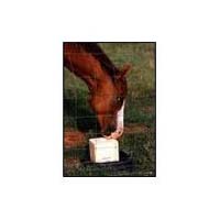 Animal Licking Salt Block