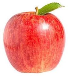 Gala Apple