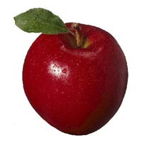 Rome Apple