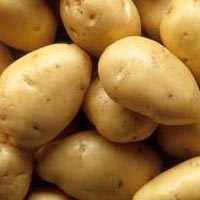 fresh potatoes