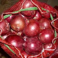 fresh red onion For Food