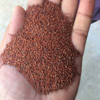 Taramira Seeds By Param Commodities International Taramira Seeds From Rajkot Id