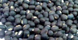 Food Grains & Cereals