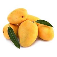 Fresh  Mango
