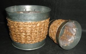 Cordless Gardening Tools