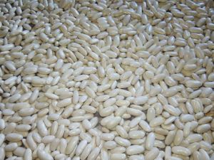 White Beans White Beans