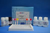 Aflatoxin M1 Strip Test Kit
