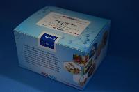 Boldenone Elisa Test Kit