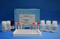 Clenbuterol Elisa Test Kit