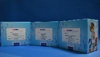 Nitrofurantoin (Ahd) Elisa Test Kit