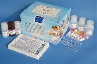 Nitrofurazone Elisa Test Kit