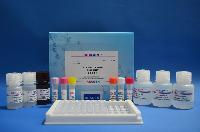 Zilpaterol Elisa Test Kit