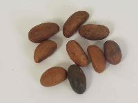 Bitter Kola Nuts