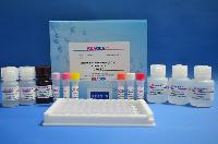 Neomycin Elisa Test Kit