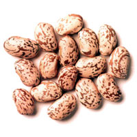 pinto beans