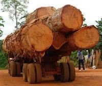 Hardwood Logs, Lumber, Sawn Timber, Flooring, Decking Materials