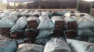 hardwood charcoal,  Shape : Lumps