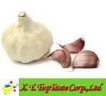 Chinese Fresh White Garlic