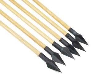 Archery Arrows