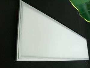 40w LED Panel Light 30x120cm