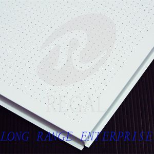 Suspended Ceiling Panels