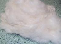 Good Quality Kapok Fiber