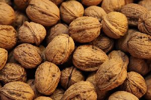 Cheap price Walnuts in shell/walnuts kernels