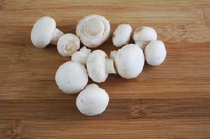 Fresh And White Frozen Mushroom
