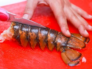 Frozen Sea Food Surimi Lobsters/Green Lobsters/Lobsters Tail and Slipper Lobsters