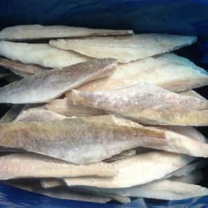 New Season Good Price frozen Hake fish