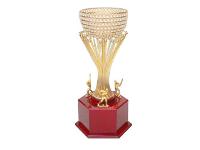 Cricket Cup Diamond Trophy