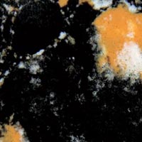 Quartz Stone,Noble series(CW-L3008)