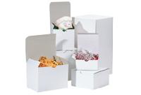 100% Recycled Gloss White Box