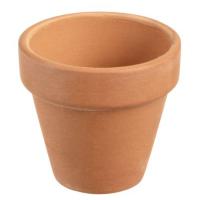 designer terracotta pots