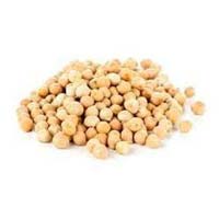 White Chickpeas